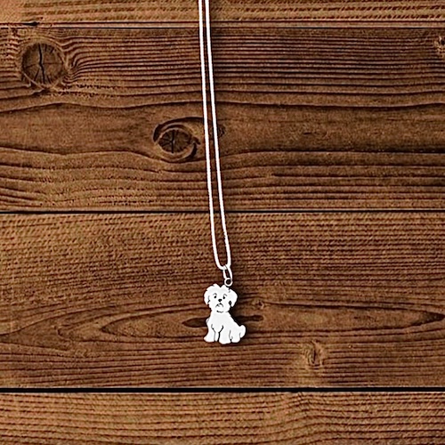 MPD023 Dije Cadena Shih Tzu 1